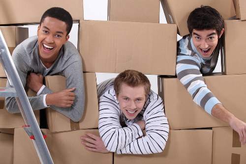 Manager reviewing a removals complaint outcome