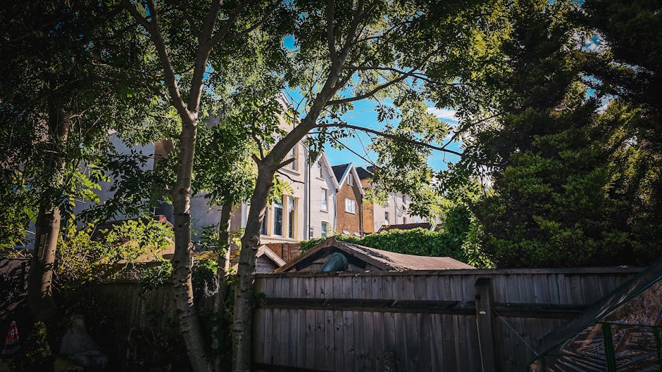 A view of a residential street showing multiple multi-story houses with large windows and pitched roofs, situated behind a wooden fence. In the foreground, there are several tall trees with green leaves, casting shadows on the fence. The area appears to be part of a home relocation or furniture transport process, as it is adjacent to a garden or yard where packing materials such as cardboard boxes, plastic wrap, and blankets for furniture may be seen. A van or removal vehicle is not directly visible but could be inferred as nearby, used by [COMPANY_NAME] for loading or unloading residential belongings as part of a house removals service in the Colliers Wood area. The scene is illuminated by natural daylight, with a clear blue sky overhead, capturing the typical environment of a community undergoing a furniture moving or packing and moving operation during a house relocation.