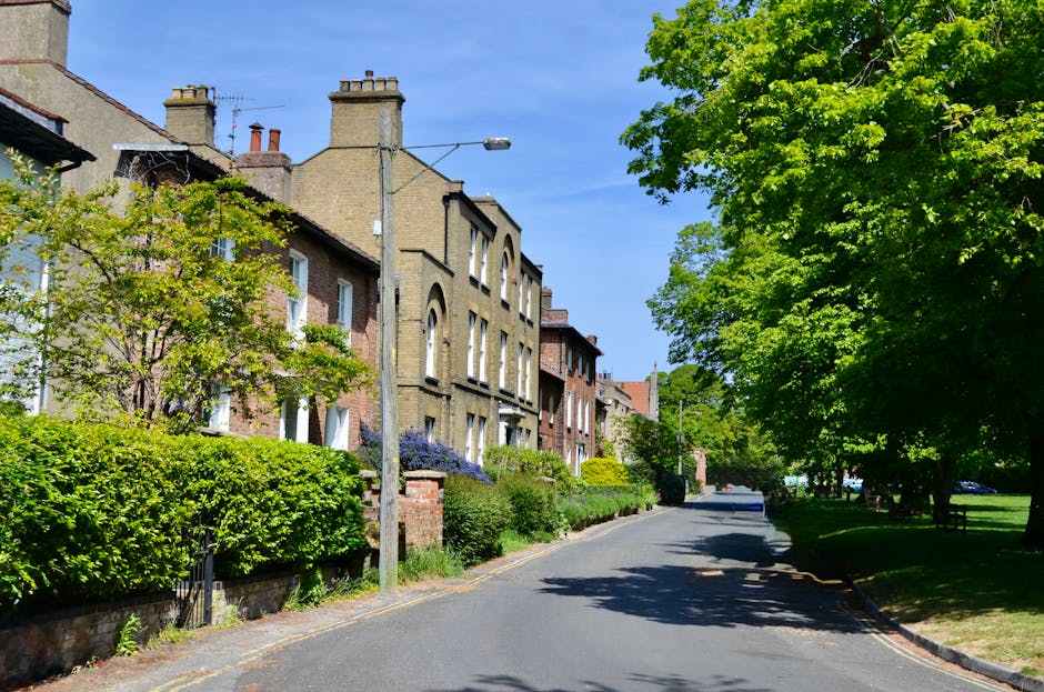 A quiet residential street scene during daytime showing a row of multi-storey brick houses with pitched roofs and chimneys on the left side, partially obscured by lush greenery including bushes and small trees, with some of the trees displaying fresh green leaves. On the right side, there is a large, mature tree with vibrant green foliage casting shadows on the pavement. The street appears calm with no visible traffic or pedestrians and is lined with a narrow sidewalk. A tall lamppost stands near the center of the image, and the sky above is clear and blue. This visual context suggests a typical suburban environment suitable for home relocations and furniture transport, aligning with the services offered by [COMPANY_NAME] for house removals and moving logistics in the Colliers Wood area.